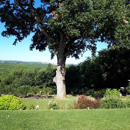 Bed and Breakfast La Chenaie Sainte-Marthe  Экстерьер фото